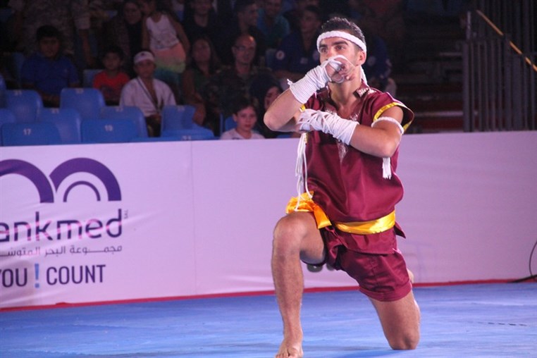 Martial Arts Festival